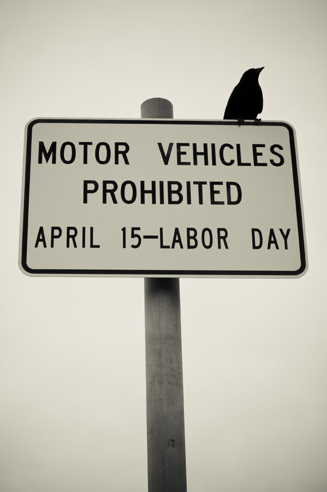 Motor Vehicles Prohibited